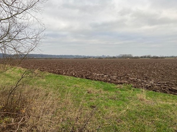 Medium property photo - Kouwedijk, 6576 JK Ooij